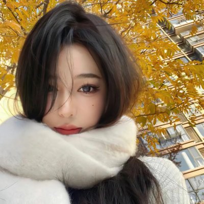 江照黎明封面